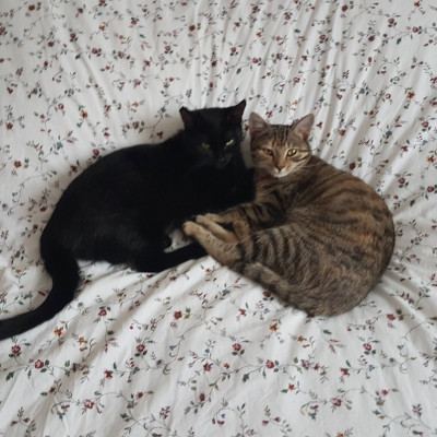 Luna + Lexi Luna + Lexi